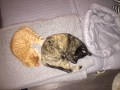 Mimi (9)